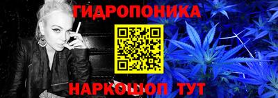 гашиш Ачхой-Мартан