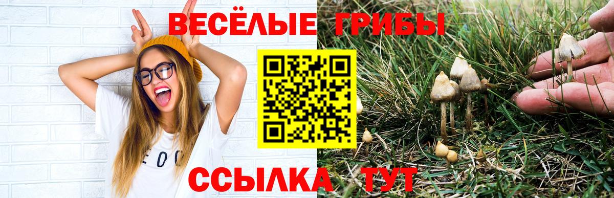 Кизляр  Галлюциногенные грибы ЛСД  купить наркотик  Галлюциногенные грибы мухоморы  Вход с VPN 